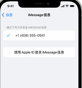 金银川路街道apple维修iPhone上无法正常发送iMessage信息 