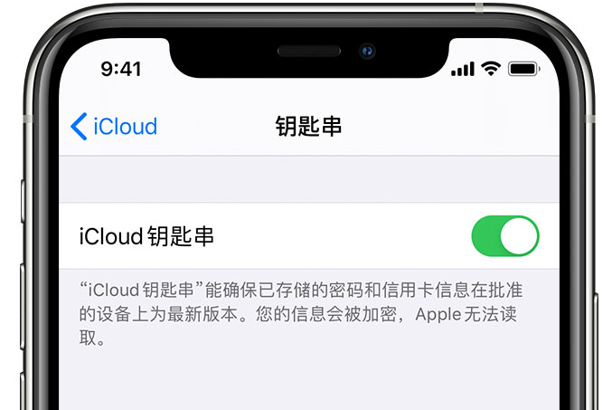 金银川路街道苹果手机维修分享在 iPhone 上开启 iCloud 钥匙串之后会储存哪些信息 